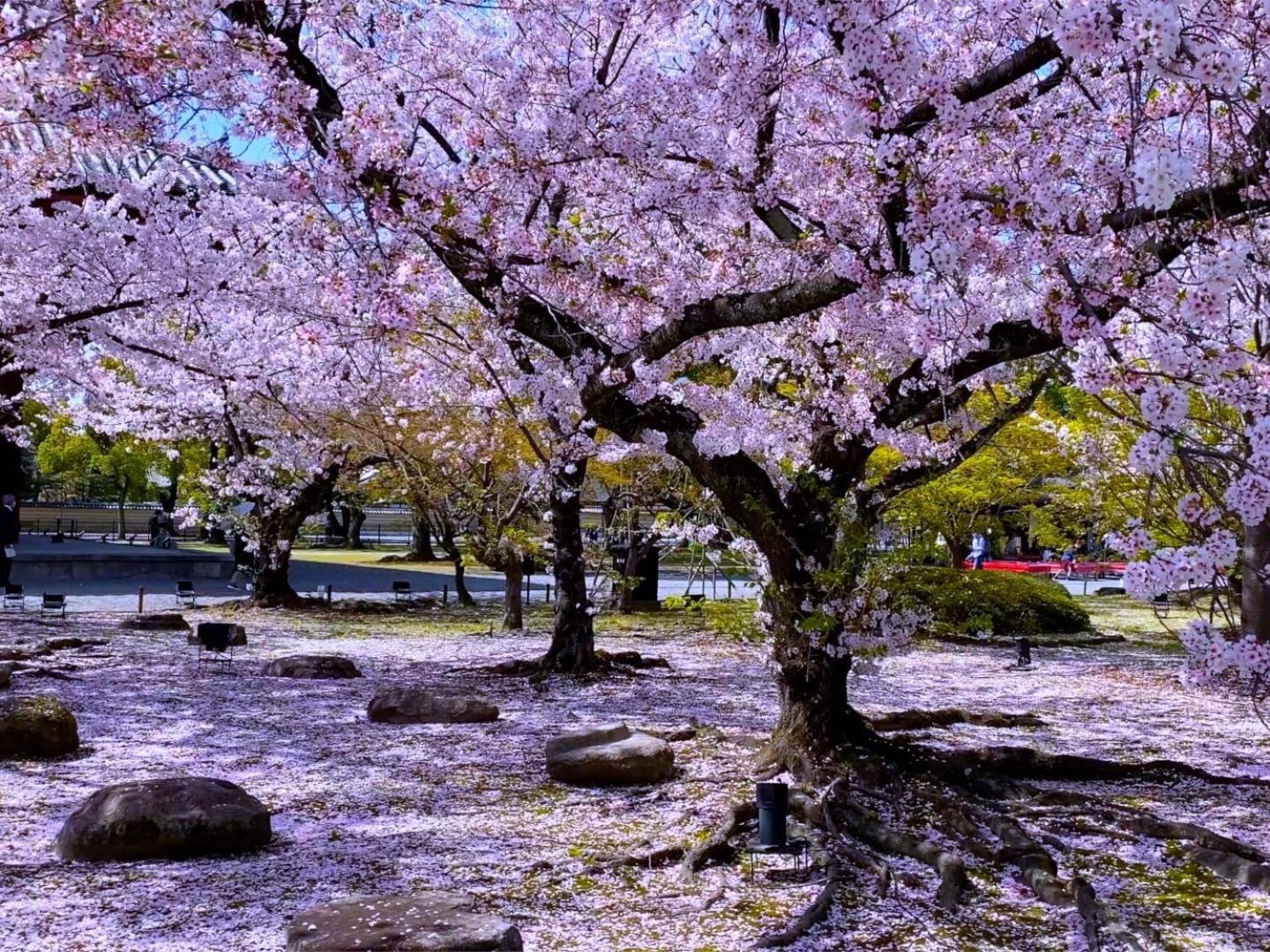 Stay Sakura Kyoto Higashi Hongan-Ji I Exterior photo